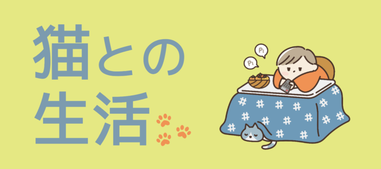 猫との生活